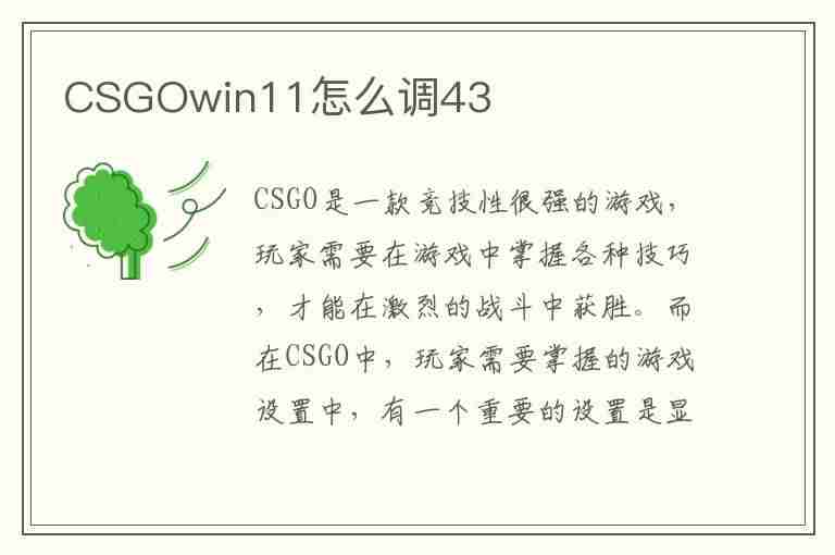 CSGOwin11怎么调43(csgowin11怎么调4:3去黑边)